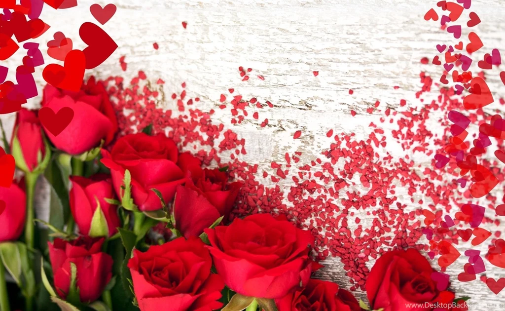 Roses Wallpapers Stock Images