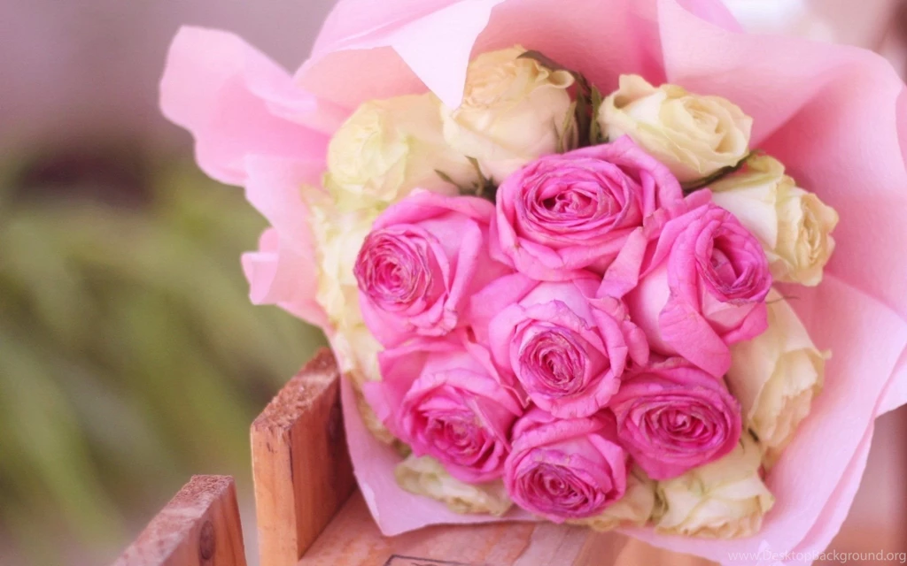 Flower Flowers Bouquet Roses Pink White Backgrounds Wallpapers ...