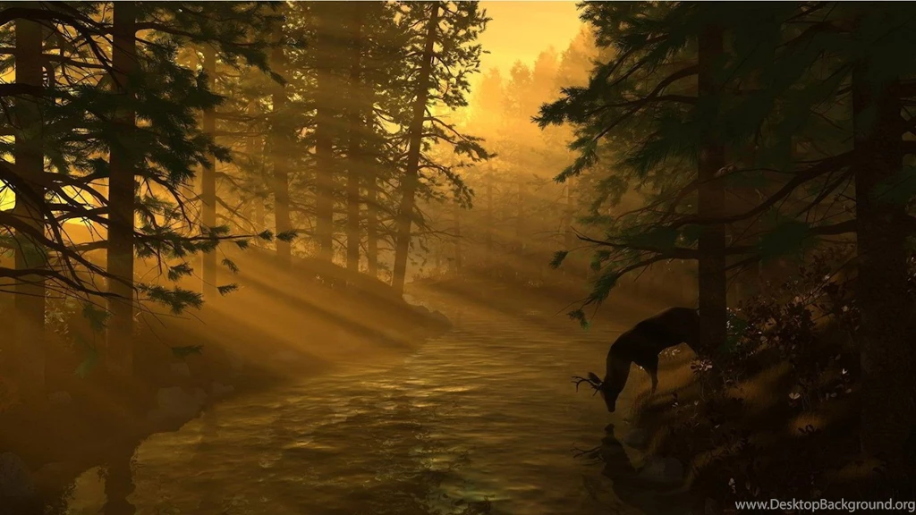 Deer Hunting Backgrounds