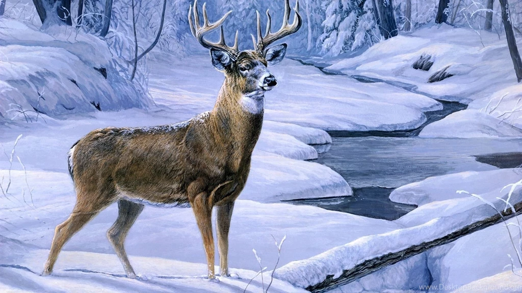 Deer Hunting Backgrounds