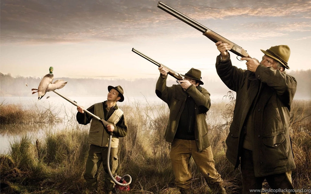Smart Hunting Funny Hd Wallpapers 1920×1200 25187