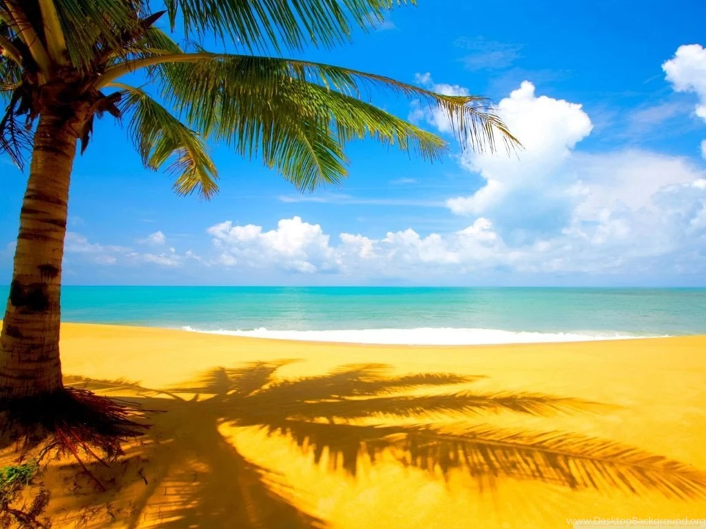 Gorgeous Beach In Summertime HD Desktop Wallpapers : Widescreen ...