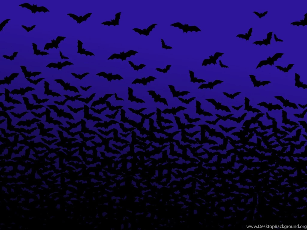 Cartoon Bat Wallpapers Cartoon Wallpapers