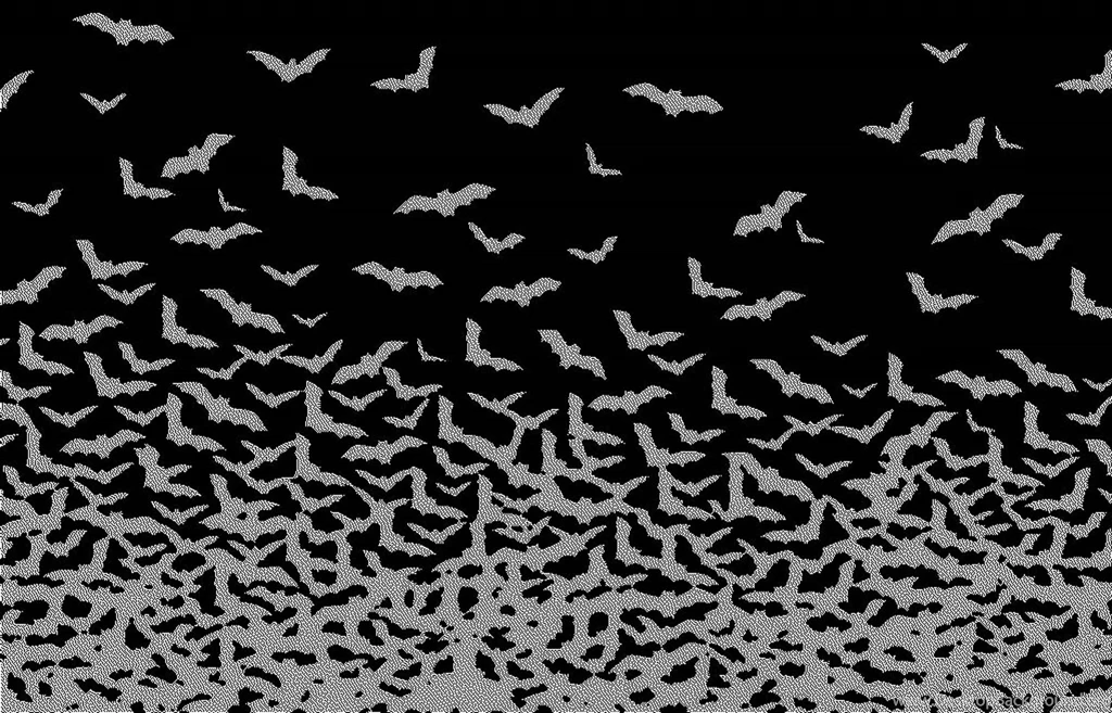 Bat Desktop Wallpaper, Bat Images Free, New Wallpapers