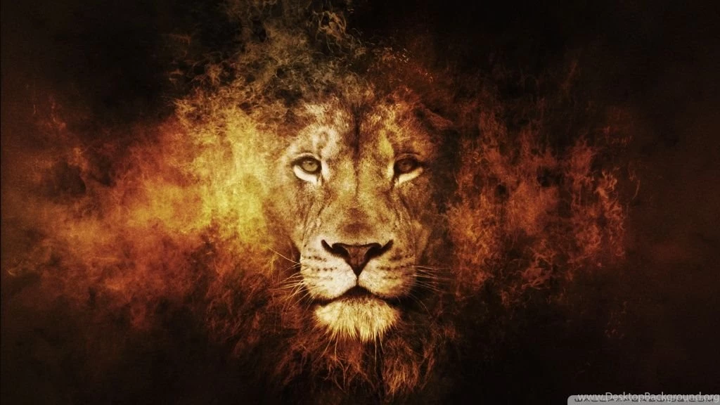 Lion HD Desktop Wallpapers : High Definition : Fullscreen : Mobile