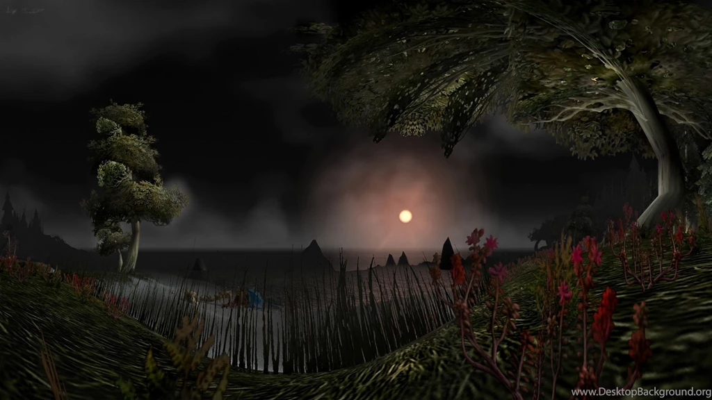 Moon Over The Coast HD Wallpapers