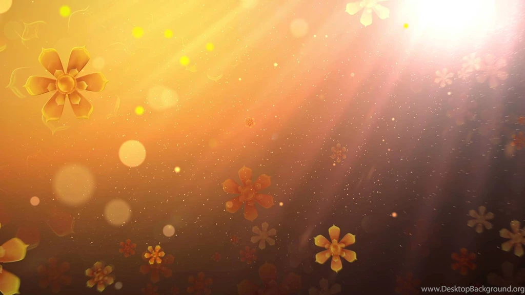 Fondo Animado Cuadro Floral HD Animation Backgrounds Motion YouTube