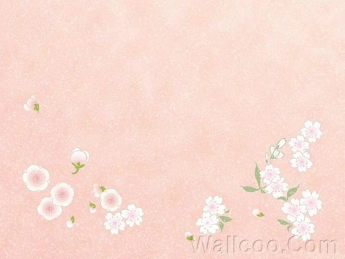 Graphic Flowers, HD Flower Patterns (1920+1600 ) 18 Wallcoo.net