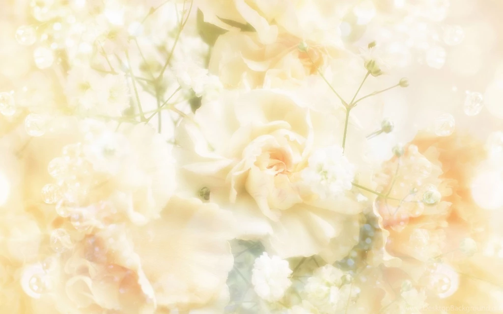 Beautiful flowers background_83881 1920x1200.jpg