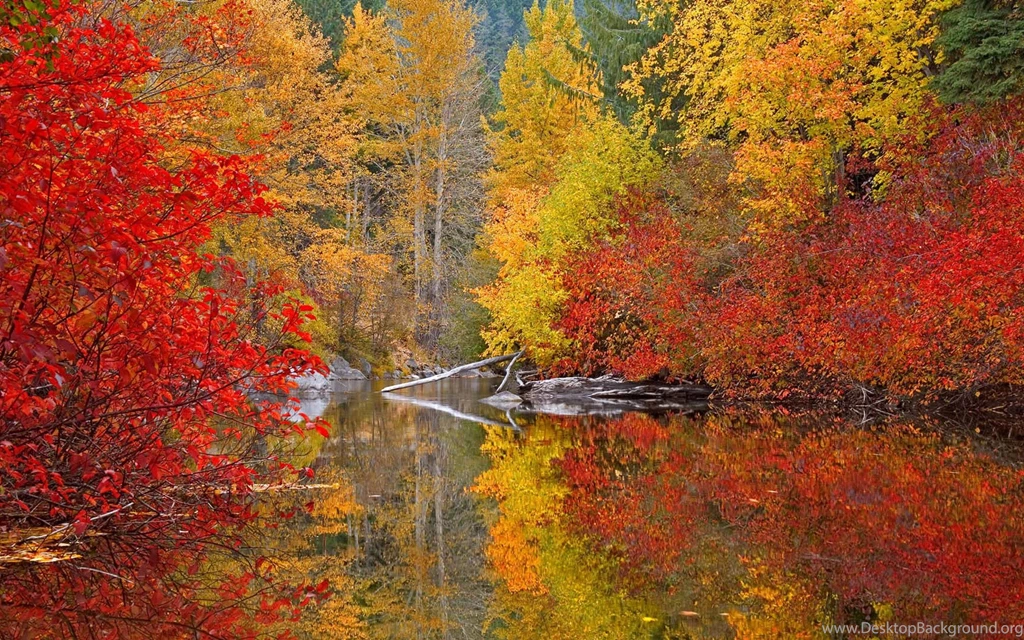 Gallery For Computer Wallpapers Autumn Colors