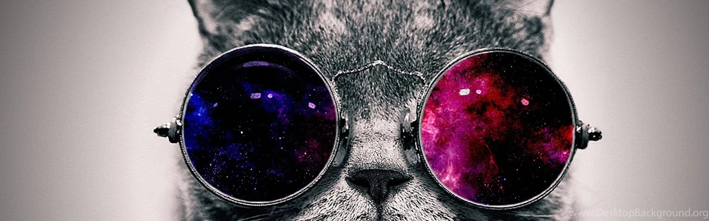 Dual Wide Cat Wallpapers HD, Desktop Backgrounds 3840x1200