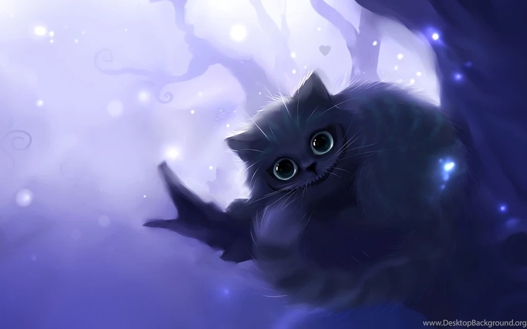 Gallery For   Cat Smile Wallpapers