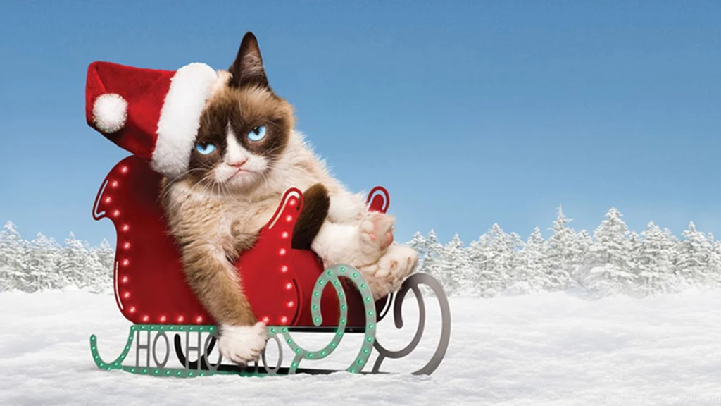 Grumpy Cat Wallpapers Desktop Backgrounds