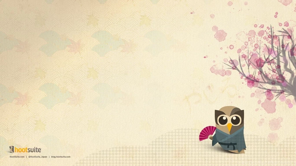 Wallpapers Owl Hootsuite Social Media Management 1366x768 ...