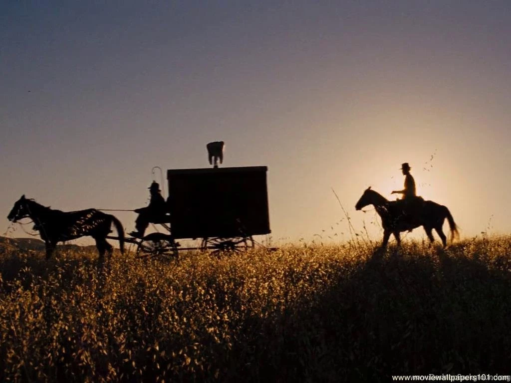 Django Unchained Wallpapers (1024x768) : MovieWallpapers101.com