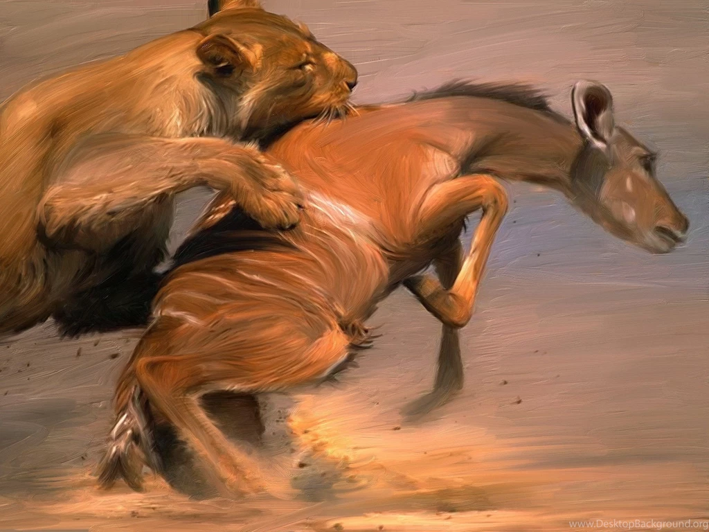 Desktop background lion wallpaper.jpg