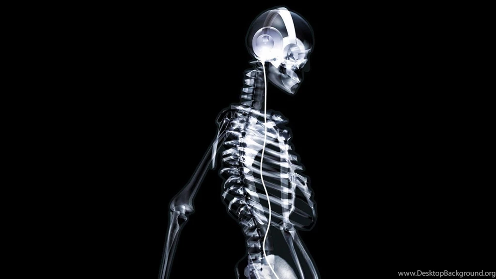 Full HD 1080p Bone Wallpapers HD, Desktop Backgrounds 1920x1080