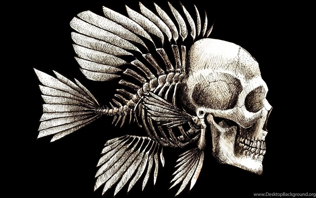Bone Fish Skull HD Wallpapers