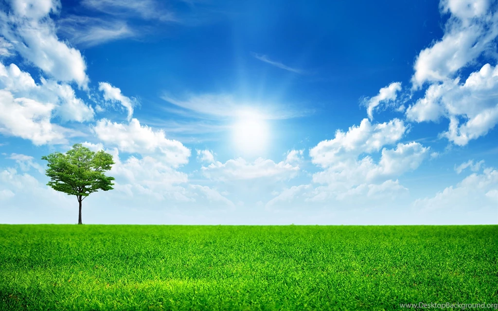 Download Sky Grass Wallpapers Widescreen