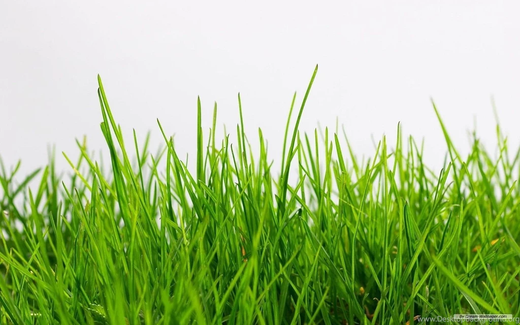 Free Wallpapers Free Nature Wallpapers Grass Football Pitches ...