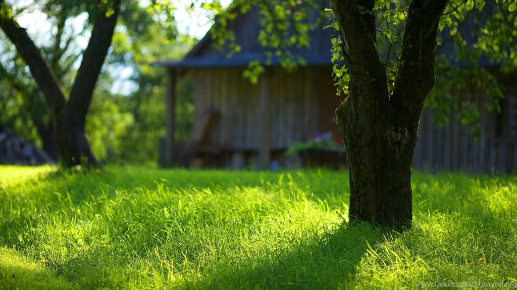 1920x1080 Summer Garden Green Grass Wallpapers