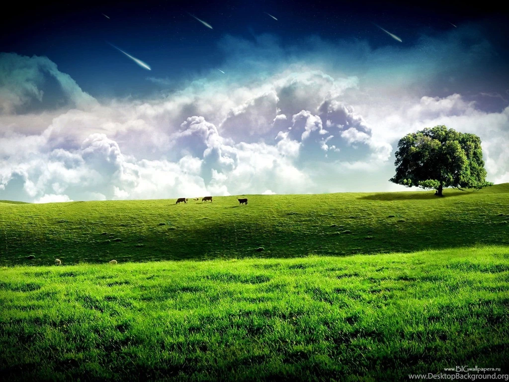 Nature View Grass Wallpapers (30826225) Fanpop
