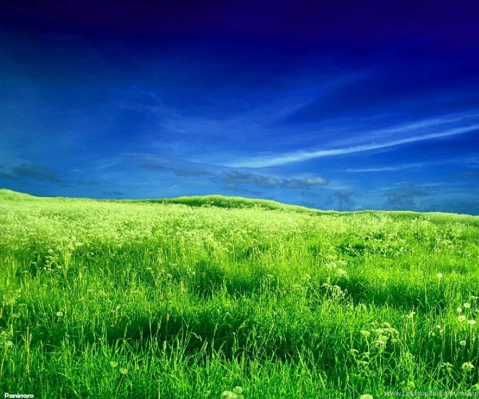 Sky Grass Wallpapers Wallpaper.