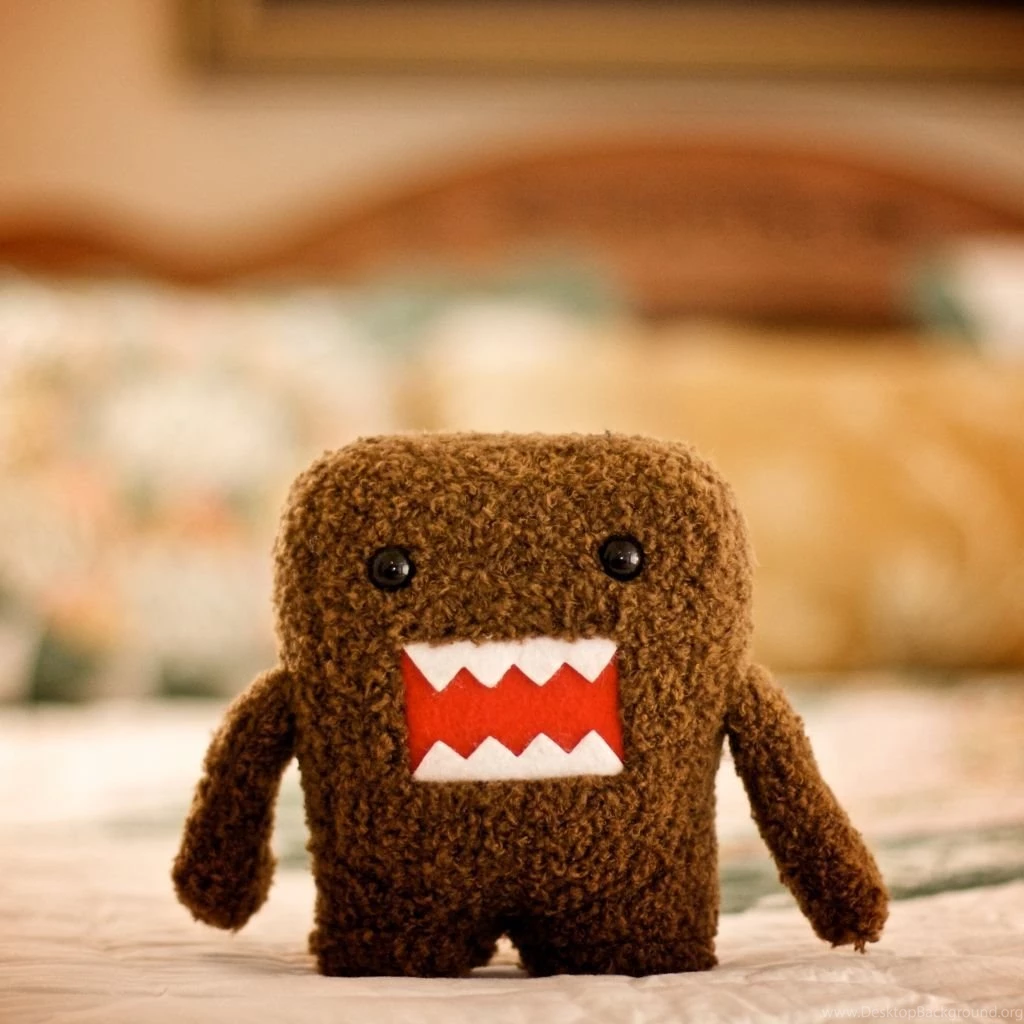 Domo Follow Me I Follow Back