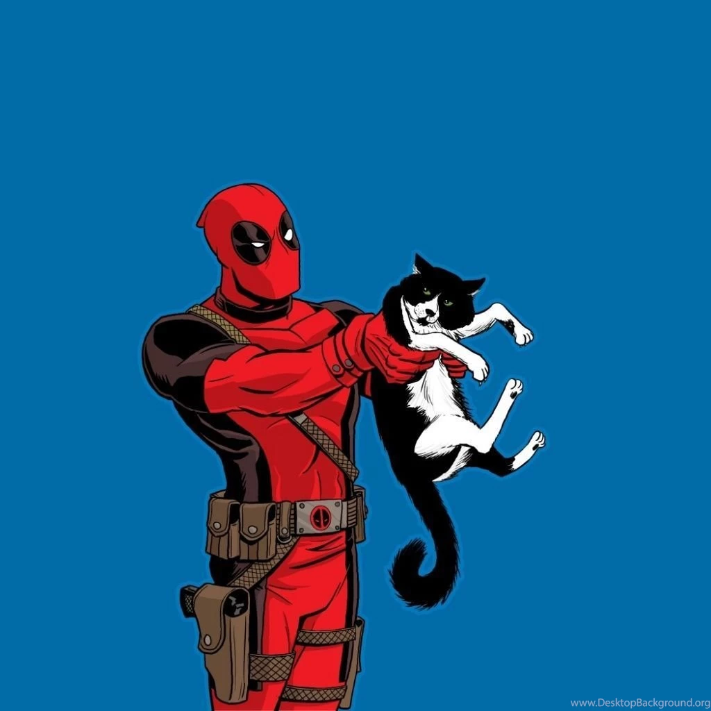Deadpool With A Cat iPad 1 & 2 Wallpapers