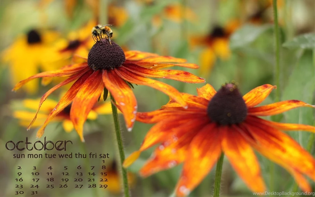 October Wallpapers Ali's American Adventures