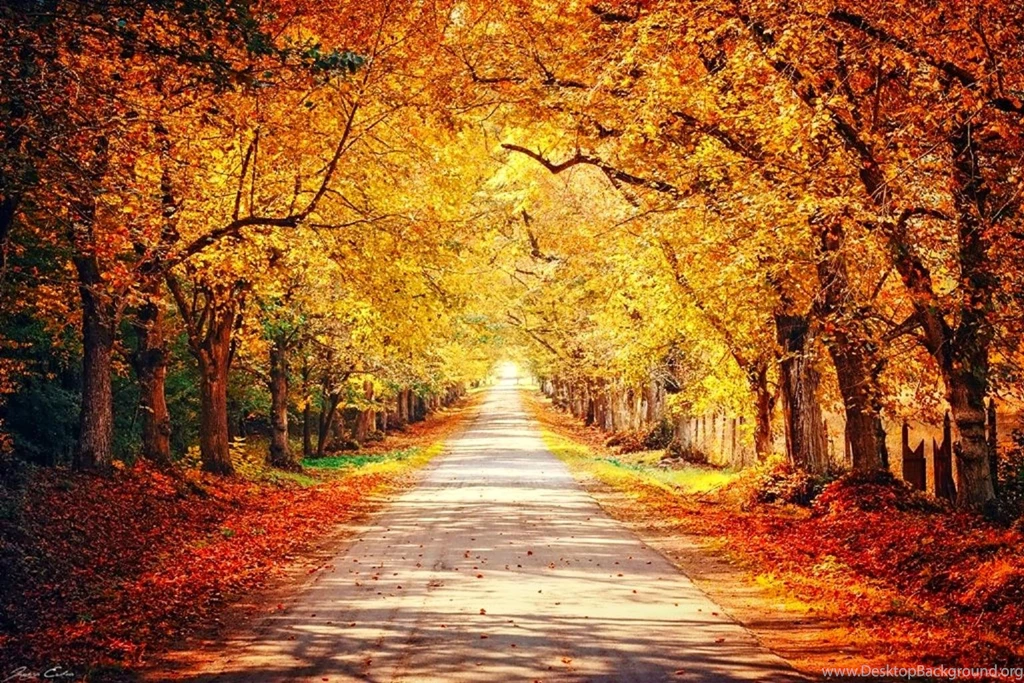 October (