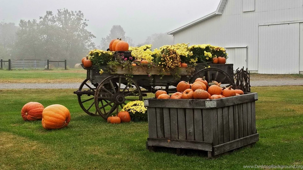 World October Fresh New Hd Wallpapers [Your Popular HD Wallpapers ...