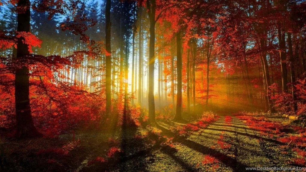 Beautiful Nature Hd Wallpapers Free Download e1447593622320.jpg