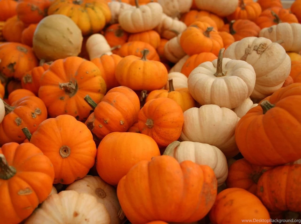 Autumn Pumpkin HD Wallpapers 7.jpg