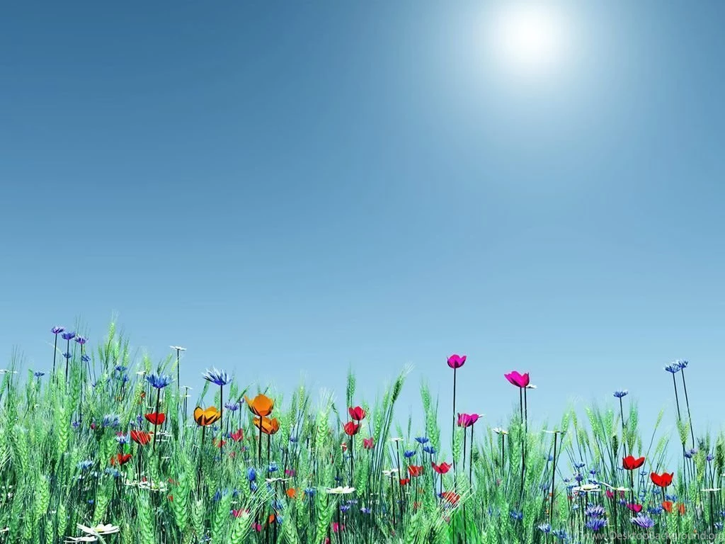 Springtime Backgrounds Pictures