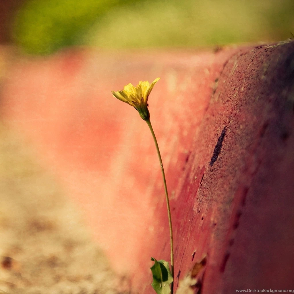 Galaxy Star iPad Air Wallpapers Download