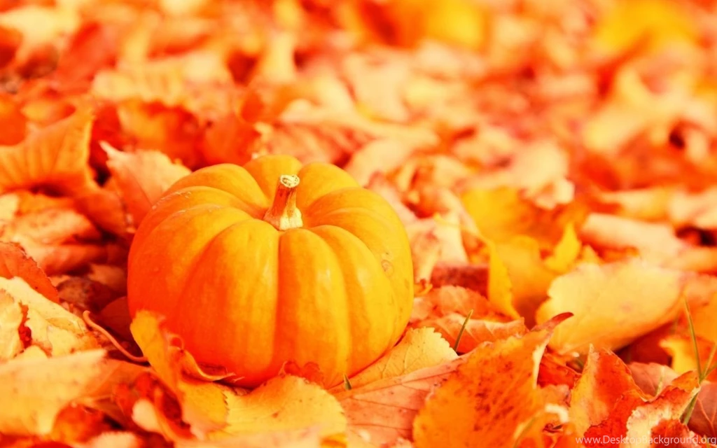 Gallery For Fall Wallpaper Backgrounds Pumpkins