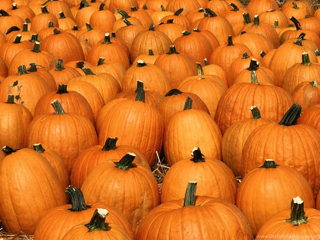 Wallpapers: Pumpkin Wallpapers