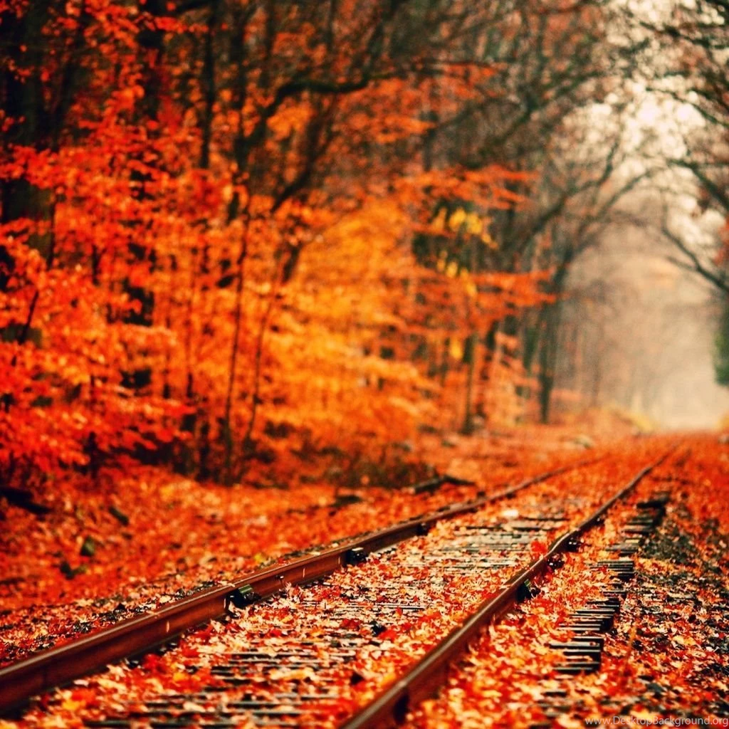 Autumn iPad 1 & 2 Wallpapers