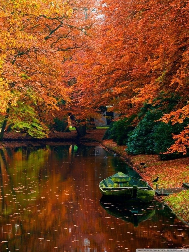 Lake In Autumn Landscape HD Desktop Wallpapers : High Definition ...