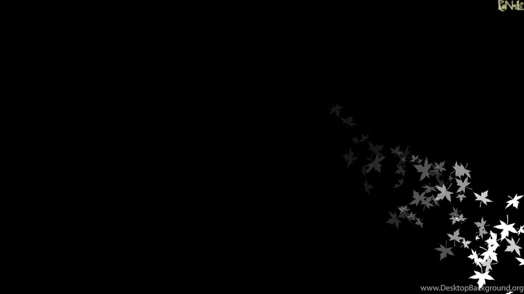 Best Black Wallpapers   All Wallpapers New