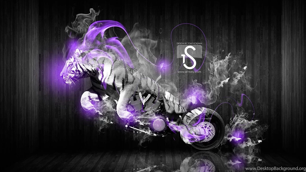 Moto Tiger Fantasy Fire 2013 « El Tony