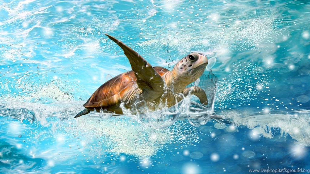 30 Sea Life Wallpapers Pictures