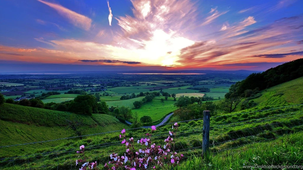 Flowers Pink Grass Hills Valleys Burst Skies Wallpapers