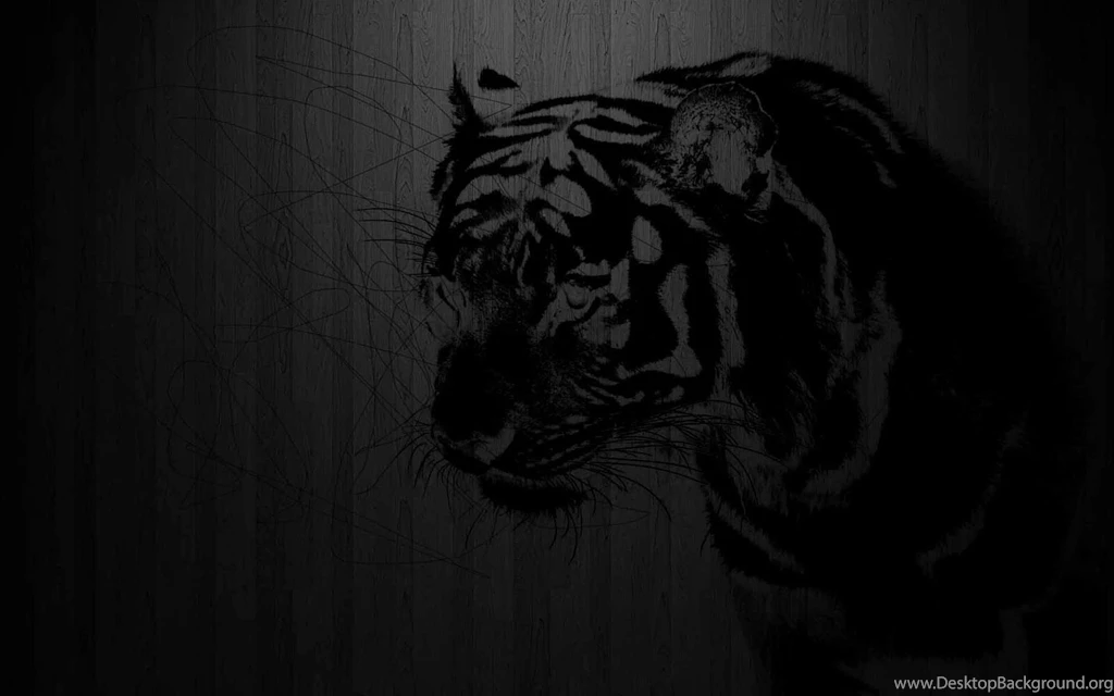 Black Color Wallpapers 500 Collection HD Wallpapers