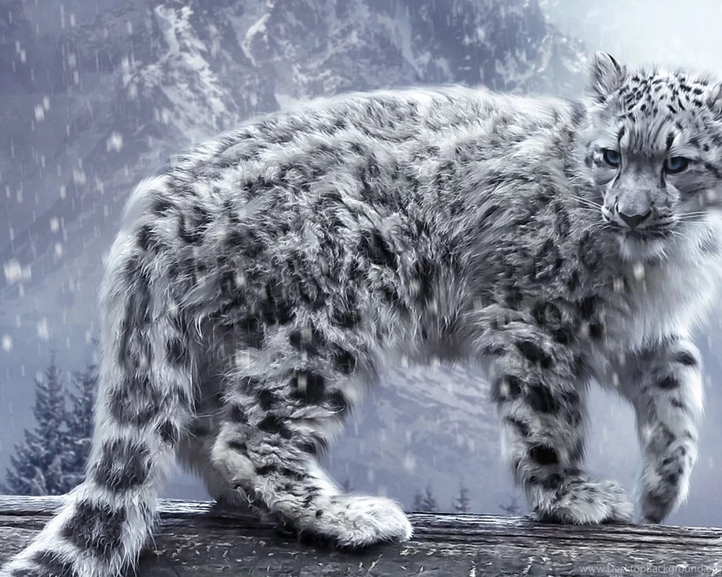 Gallery For Snow Leopard Wallpapers For Mac