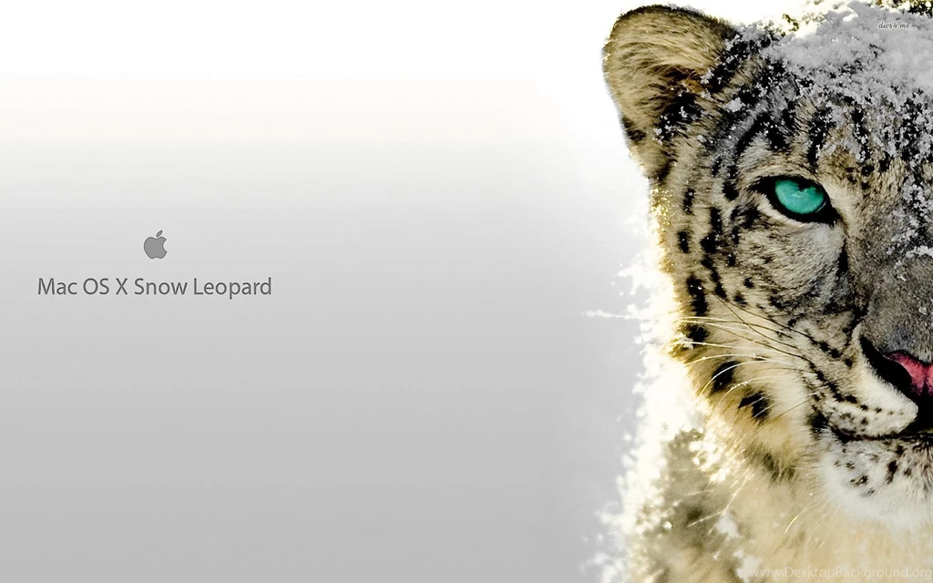 Gallery For   Best Mac Leopard Wallpapers