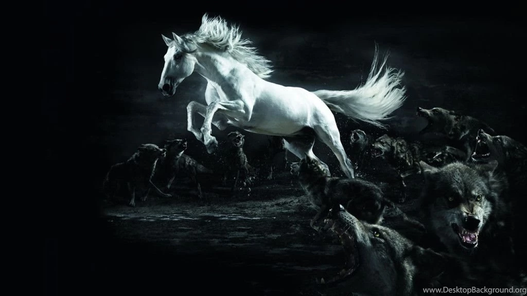 Gallery For Free Bible Wolf Wallpapers