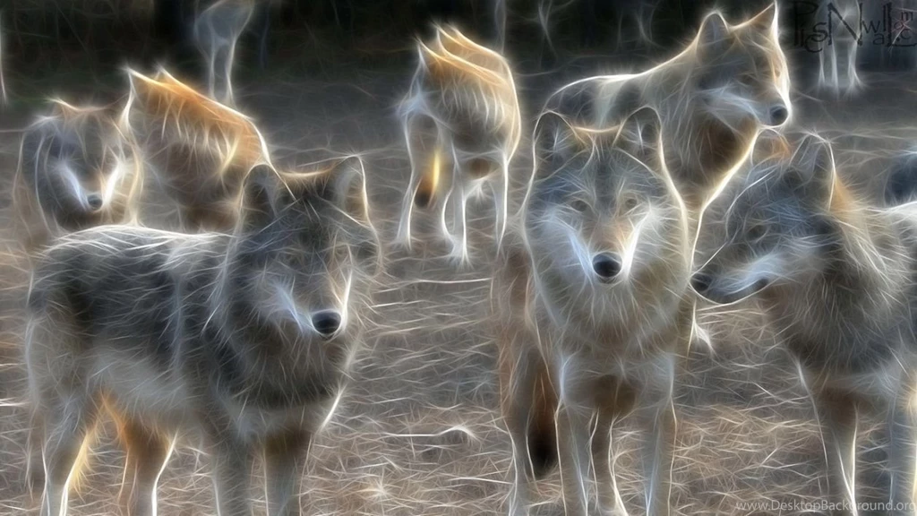 Best Wolf Backgrounds
