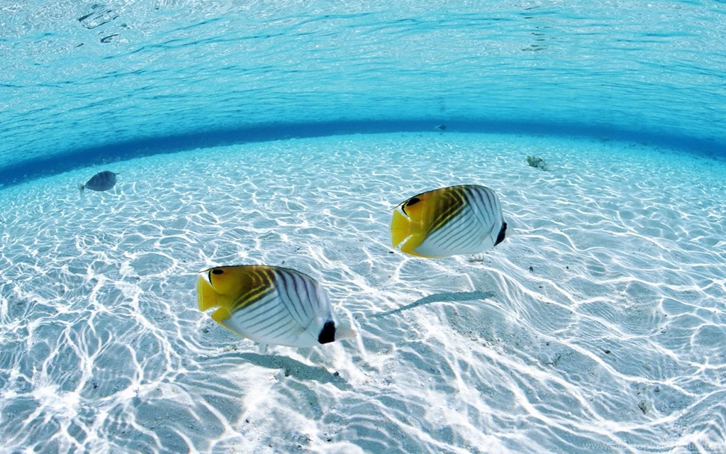 HD Beach Desktop Backgrounds